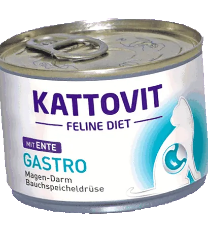 gastro kattovit
