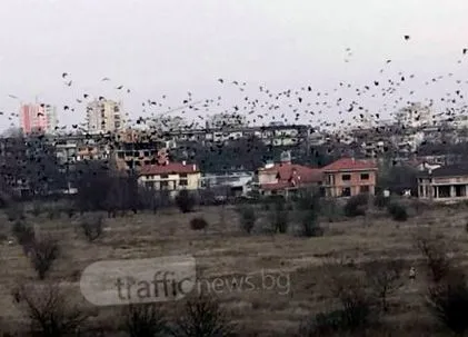 támadta