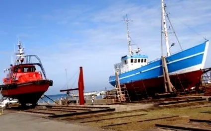 betegségeket