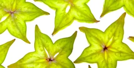elleni