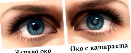 gyógynövények