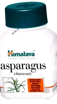megjegyzések shatavariasparagus