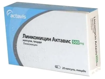 lincomycin