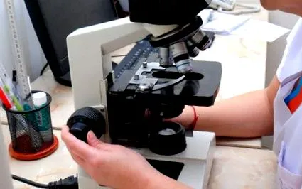 orvosi