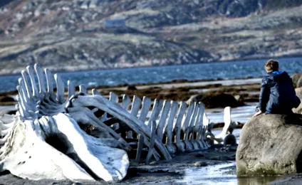 zvyagintsev leviatán