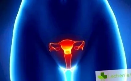 modern vulva leukoplakia