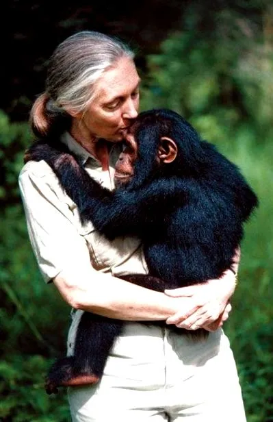 goodall jane