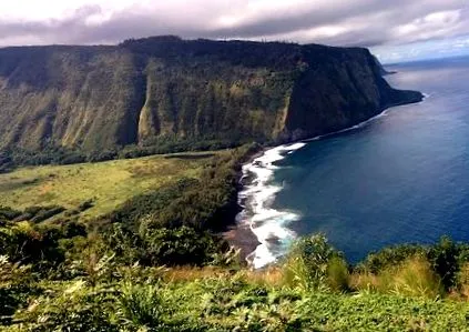 belső menedékjog