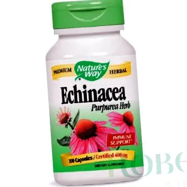 ény-i echinacea szerves