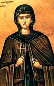pelagia pelagia