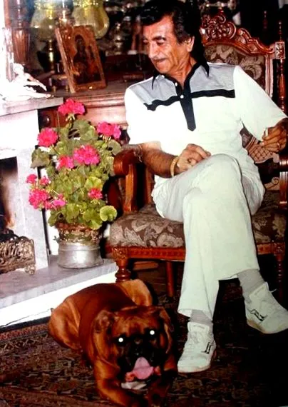 panayotov levitt