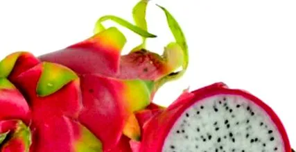 pitaya hatással