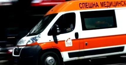 bivaly pásztor