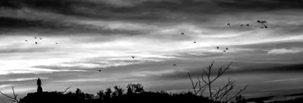 zero32 zero32