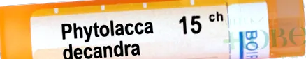 decandra
