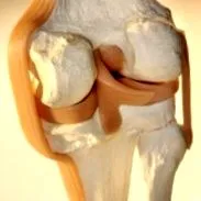 által