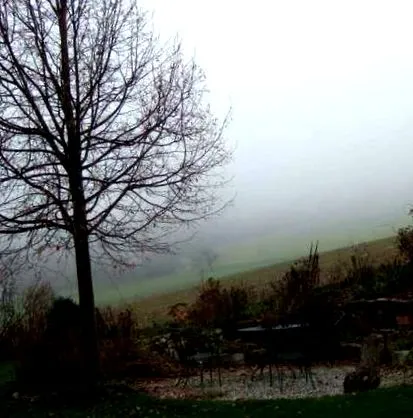 novemberi 2014