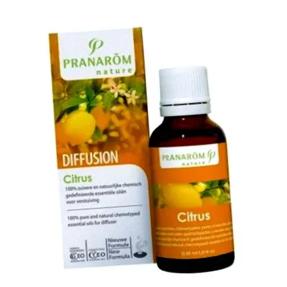 citrus citrus