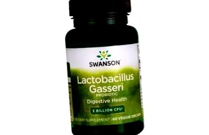 lactobacillus