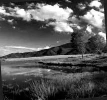 bg-mamma