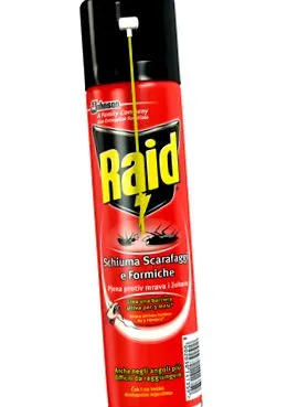 raid