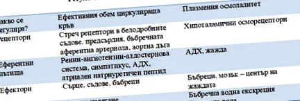 extracelluláris folyadék homeosztázis