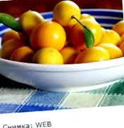 ébredjen health