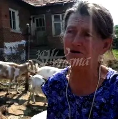 nyájának dora
