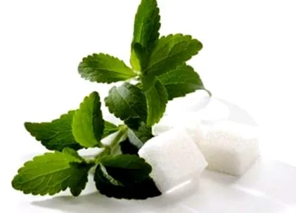 stevia-csodálatos kiegészítés