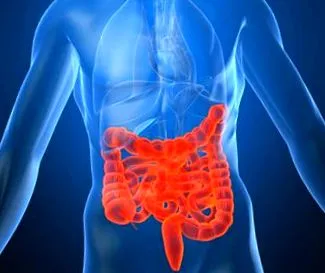 online crohn-kór