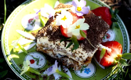 tiramisu tiramisu