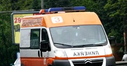nővérét