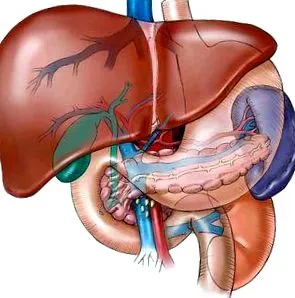hepatitis akut vírusos