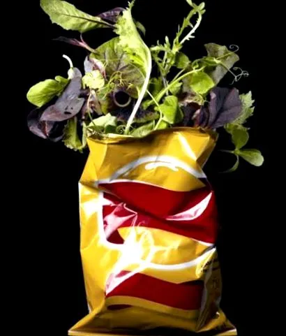 vegán vegán
