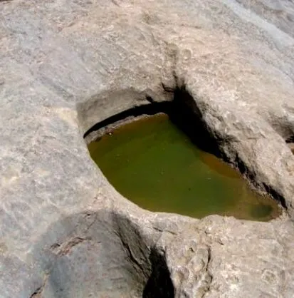 nézze anyjának