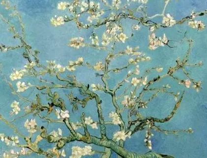 vincent vincent