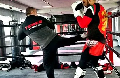 ushiro geri