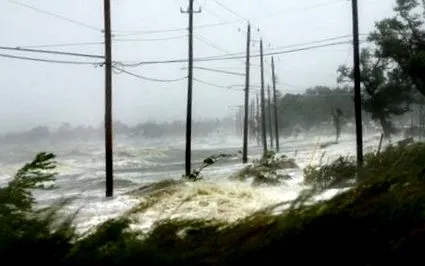 harvey