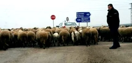 felszólították