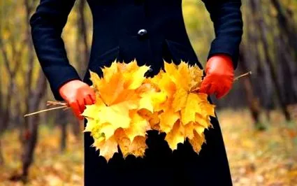 november november