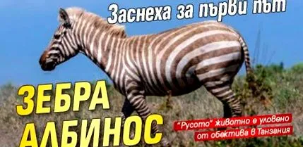 lőttek lőttek