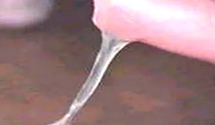 test test