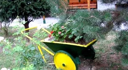 mosolyogva mindenki számára