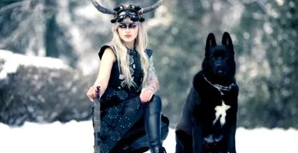 viking viking