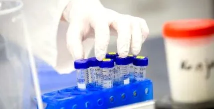 betegség éves