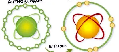 antioxidánsok kezelési
