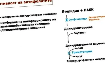 antibiotikumok