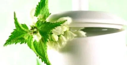 hajhullás ellen ayurveda