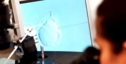 támogatott reprodukciós
