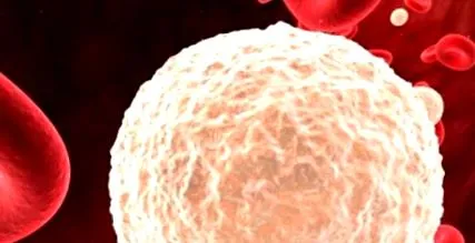 agranulocytosis immunitás